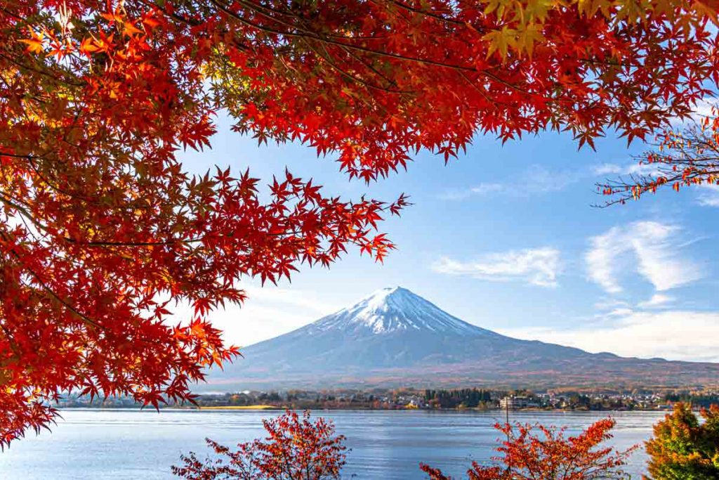 Mt-Fuji-and-autumn-leaves-on-the-shore-of-Lake-Kawaguchi-Yamanashi